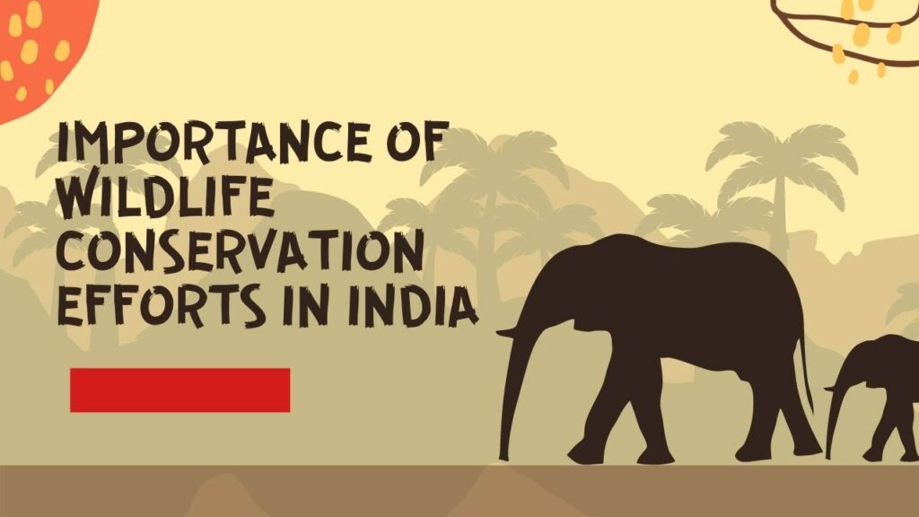 Importance of Wildlife Conservation Efforts in India