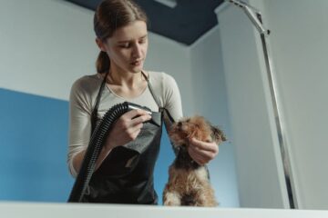 How a Dog Grooming Franchise Can Fetch You Financial Freedom